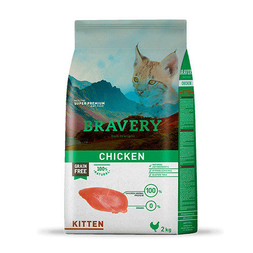 Bravery Chiken Kitten