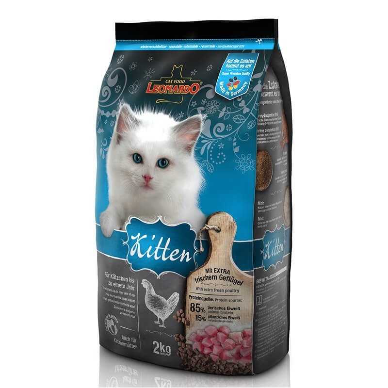 Alimento Leonardo Kitten