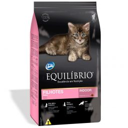Equilibrio Gatitos Indoor